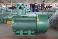 氣體防爆電機(jī)ExdIIBT4Gb的是什么意思？